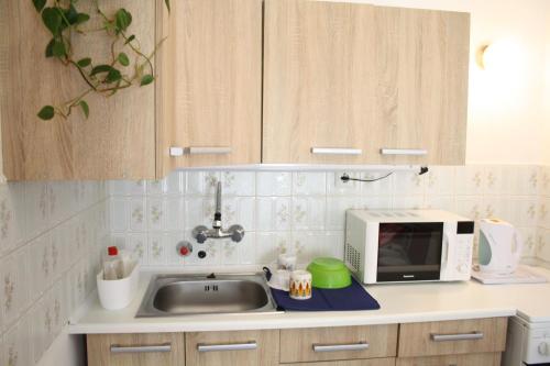 布达佩斯Casa Mamma的厨房配有水槽和微波炉