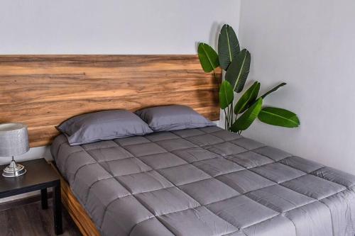 埃莫西约Nomad Casa en la mejor ubicación的一张带木制床头板和植物的床