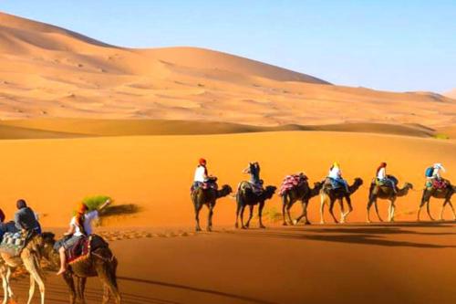 梅尔祖卡Sahara Luxurious Camp的一群人在沙漠骑骆驼