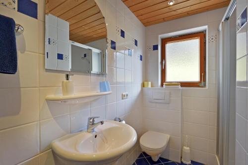 布里克森谷地霍普夫加尔滕谷格霍夫公寓的一间带水槽和卫生间的浴室