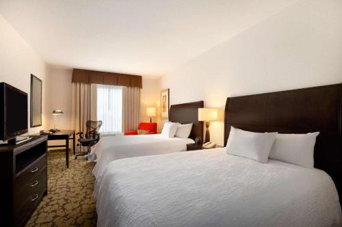 勒杜克埃德蒙顿国际机场希尔顿花园酒店的酒店客房设有两张床和电视。