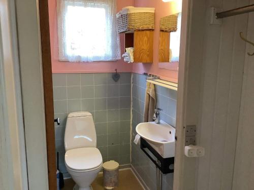 斯楚厄Holiday home Struer XXX的一间带卫生间和水槽的小浴室