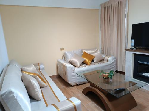 波托西Apartamento cómodo的客厅配有白色沙发和茶几
