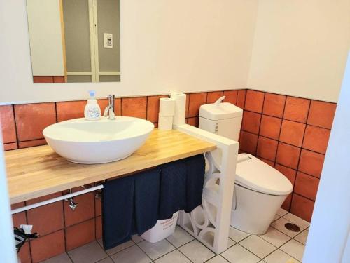 石垣岛Cruz Del Sur - Vacation STAY 11190v的一间带水槽和卫生间的浴室