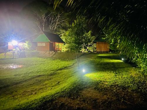 马尔多纳多港Sunrise of Tambopata的夜晚在草地上轻轻地花园