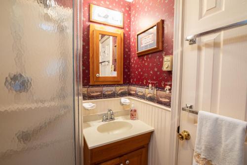 HamiltonLake Moraine Home #3 Near Colgate University的一间带水槽和镜子的浴室