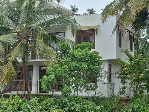HiripitiyaVilla paddy feild的一座白色的建筑,前面有棕榈树