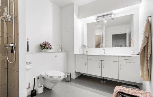 凡岛2 Bedroom Nice Apartment In Fan的白色的浴室设有卫生间和水槽。
