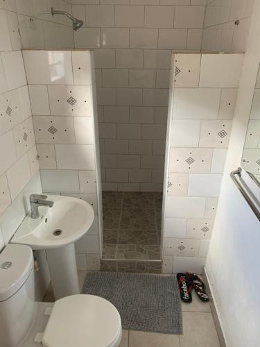 卢萨卡JUBILEE EXECUTIVE LODGE的一间带卫生间和水槽的浴室