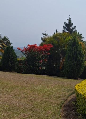 RukungiriHeritage Hotel Rukungiri的一座种满鲜花和树木的公园