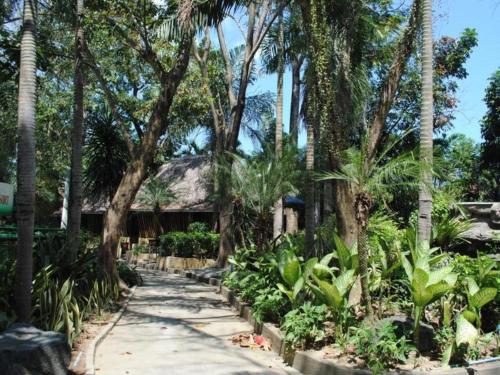 TikayDJ Paradise Hotel的一条穿过棕榈树热带花园的小路