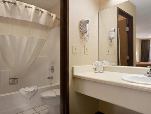 East FlagstaffHotel Flagstaff I-40 East Lucky Lane的一间带水槽、卫生间和镜子的浴室