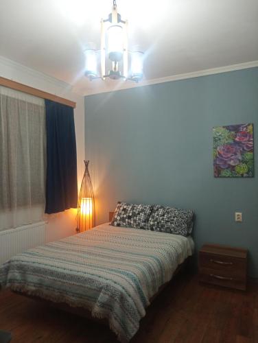 巴统M55 Home的一间卧室配有一张床和一盏灯