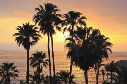 KlapalimaIma hotel的日落时分在海滩上种植的棕榈树