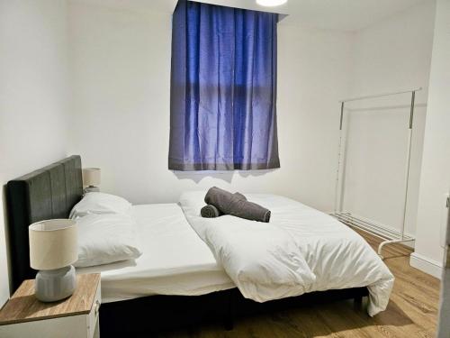 伊肯斯顿Great Value Bath Street Ilkeston Apartment的一间卧室配有两张床和蓝色窗帘