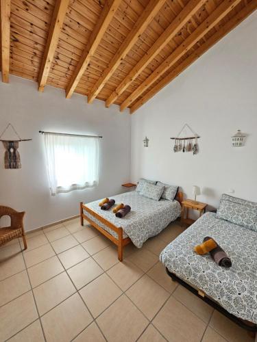 阿尔热祖尔Casa Delbon Guest House的一间带两张床和一张沙发的客厅