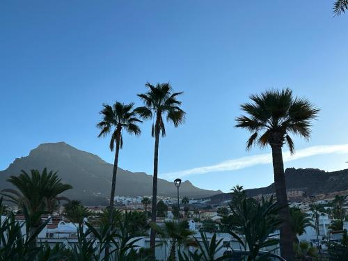 阿德耶Tenerife Holidays的一组棕榈树,背景是山