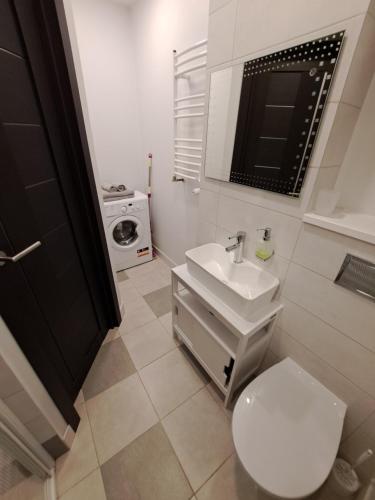利耶帕亚Teodora B. Apartament的一间带卫生间和水槽的小浴室