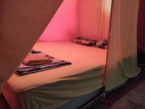 VrčinDifferent Belgrade camping的配有两张床铺的帐篷间,配有粉红色的灯光