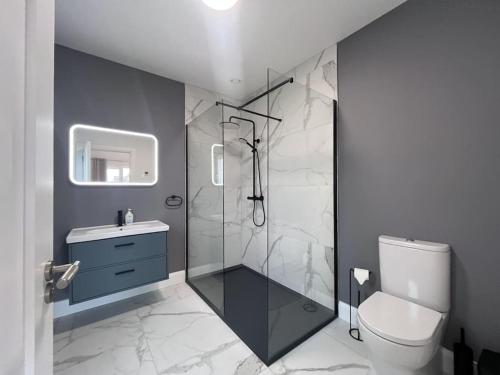 邓博因Modern Dunboyne Home的带淋浴、卫生间和盥洗盆的浴室