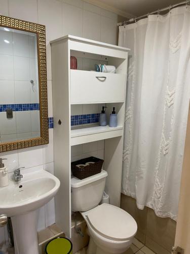 库里科Departamento Centro Curicó的一间带卫生间、水槽和镜子的浴室