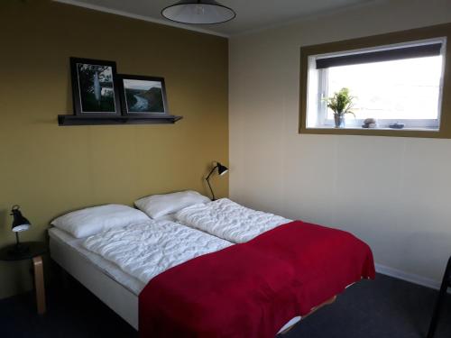 Ytre KibergFeriehus ved Barentshavet - Holiday home by the Barents Sea的一间卧室配有一张带红色毯子的床和窗户。