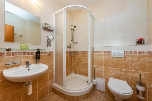 斯托泽克酒店捷克斯莱比酒店的带淋浴、盥洗盆和卫生间的浴室
