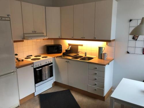 斯德哥尔摩Lovely Ostermalm apartment的小厨房配有白色橱柜和水槽