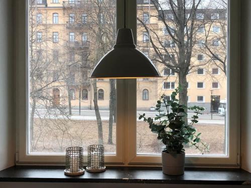 斯德哥尔摩Lovely Ostermalm apartment的坐在窗台上的盆栽植物,带灯