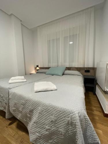 圣多明各德拉Pensión La Encina的一间卧室配有两张带毛巾的床