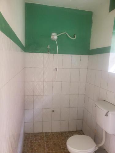 波特尔堡Gaia Eco Hub BnB的一间带卫生间和绿色墙壁的浴室