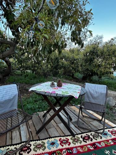 圭马尔Yurt in Avocado garden的木甲板上的野餐桌和两把椅子