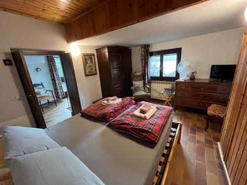 贝拉诺suitecastlelakeview 3的一间带一张床的房间和一间带沙发的客厅