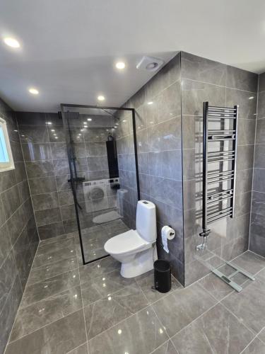 韦斯特罗斯Villa Astera的带淋浴和卫生间的浴室。
