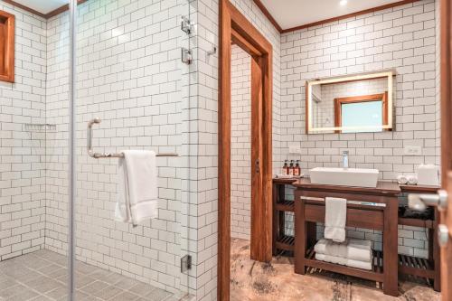 博卡斯德尔托罗La Coralina Island House的一间带水槽和镜子的浴室