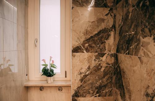 维罗纳Verona Dolce Casa的一间带大理石淋浴的浴室,在架子上种植植物