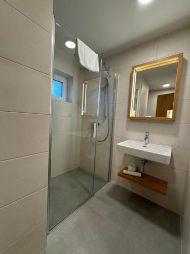 克伦特尼采Comfort Pálava, Penzion & Restaurant的带淋浴和盥洗盆的浴室