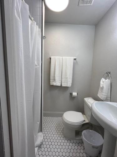 威廉姆斯Arizona 9 Motor Hotel的白色的浴室设有卫生间和水槽。