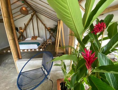 MontepioGlamping Las Olas by Rotamundos的一间设有床、蓝椅和植物的房间