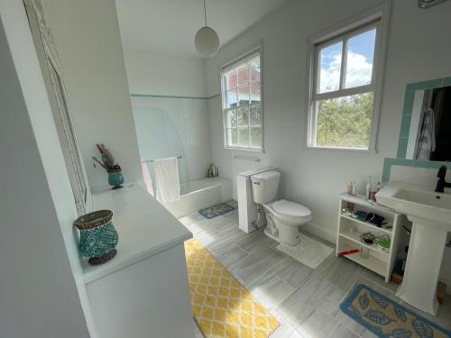 罗克桑德Bahamian Farm House的一间带卫生间和水槽的浴室