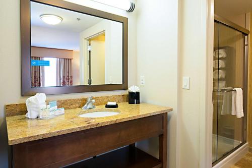 杰克逊维尔杰克逊维尔汉普顿酒店的一间带水槽和大镜子的浴室