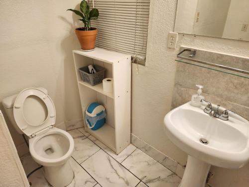 圣彼得堡Room in a House的一间带卫生间和水槽的浴室