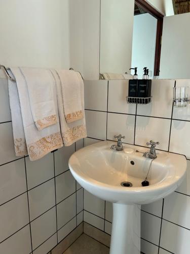 圣弗朗西斯湾Tree Aloe Guest house的白色的浴室设有水槽和毛巾。