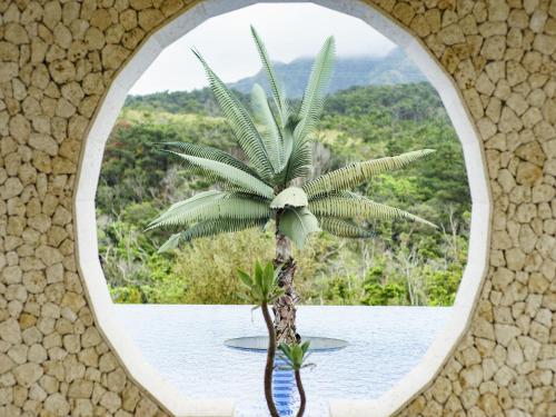 恩纳冲绳东方丘陵度假村的透过圆形窗户看到棕榈树