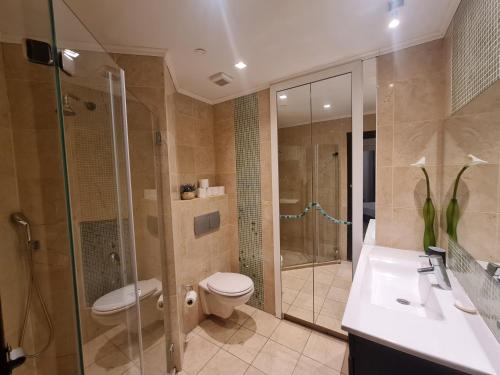 埃拉特Palmore Top Luxury Resort First line of the Seaside的带淋浴、卫生间和盥洗盆的浴室