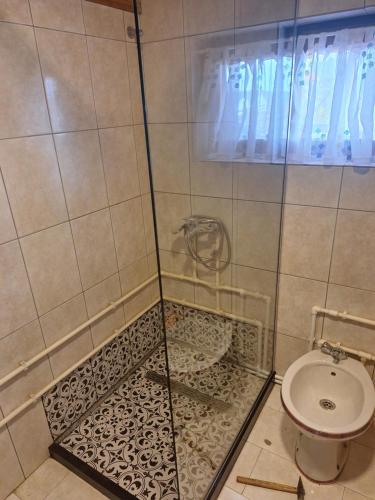 扎布利亚克扎布利亚克山林小屋的带淋浴和卫生间的浴室