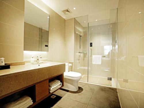 黄石City Comfort Inn Ezhou Huahu Airport High-speed Railway Station的一间带水槽、卫生间和淋浴的浴室
