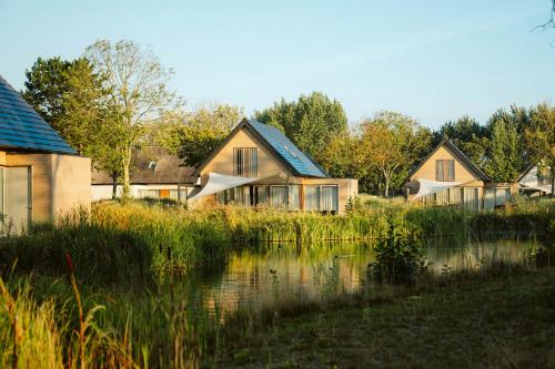 奥德多普Ridderstee Ouddorp Duin的池塘旁的一排房子