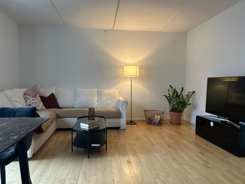 哥本哈根2 room and 1 living room charming family-friendly places的客厅配有白色沙发和电视