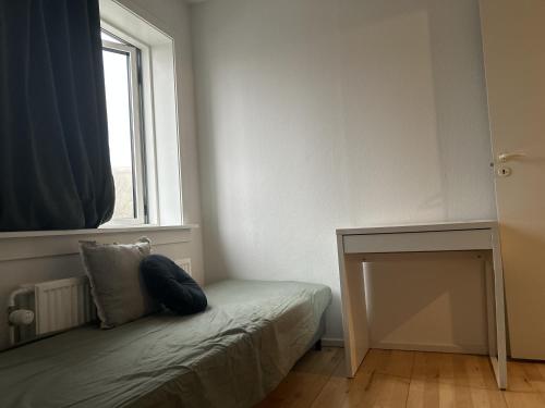 哥本哈根2 room and 1 living room charming family-friendly places的小房间设有床和窗户